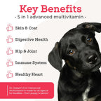 VetPro Complete Multivitamínico 5 en 1 para Perros Pequeños, 60 Comprimidos Masticables (Suministro para 60 Días)