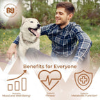 Extracto de Fenogreco de Nootropics Depot | 500 mg | 60 cápsulas | 3% Trigonelina, 1% Protodioscina