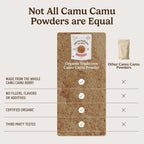 Organic Traditions Camu Camu en Polvo Orgánico, Superfruta Amazónica, Rico en Vitamina C Natural, 100g