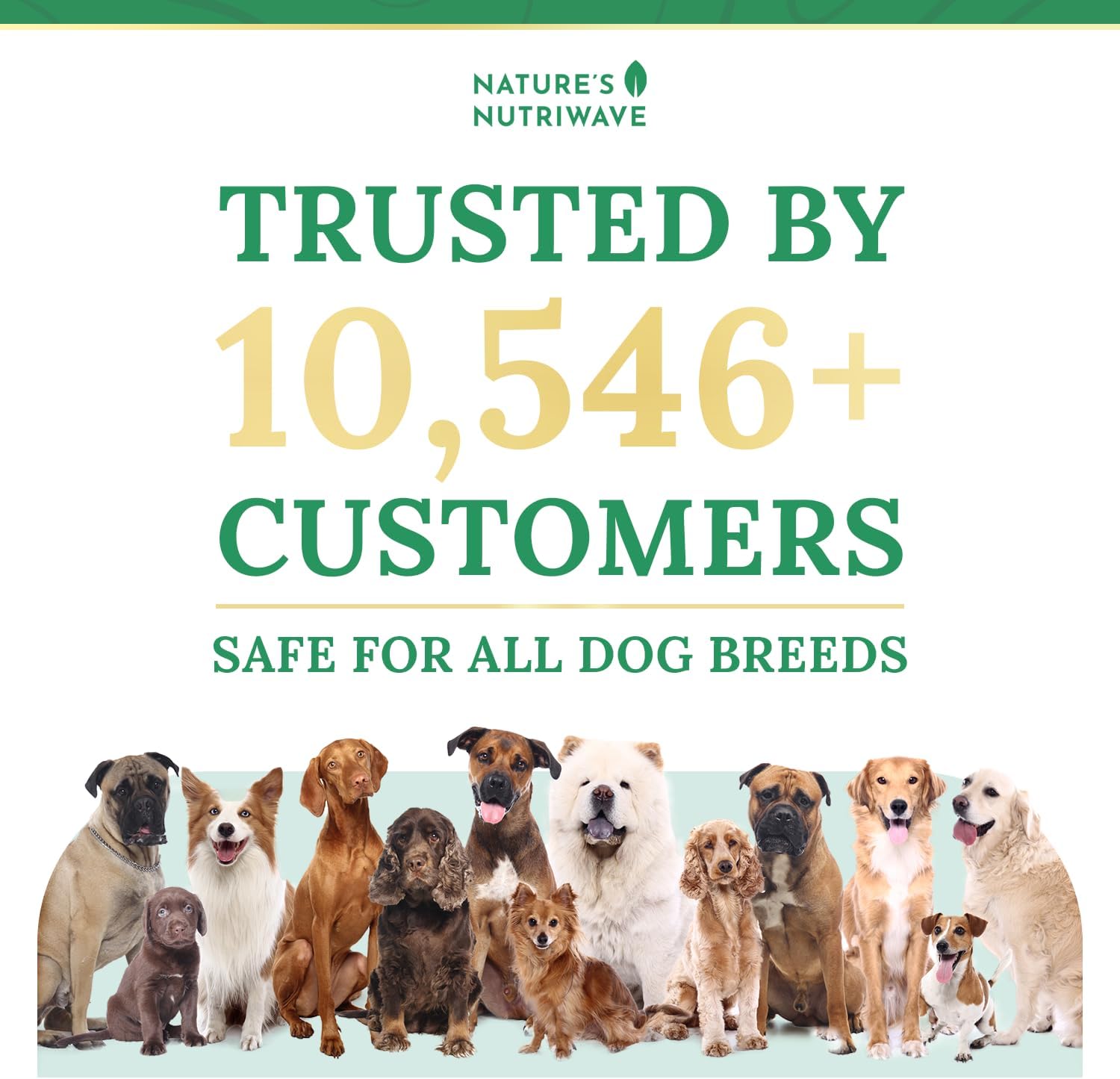 Pawbiotix Probióticos Líquidos para Perros – 1 oz (Suministro para 3 Meses) – Sabor Beacon – Fórmula Original