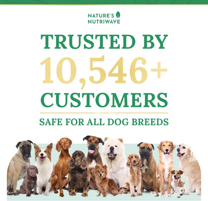 Pawbiotix Probióticos Líquidos para Perros – – Kelp Orgánico: fuente natural de minerales y oligoelementos que – Image 4