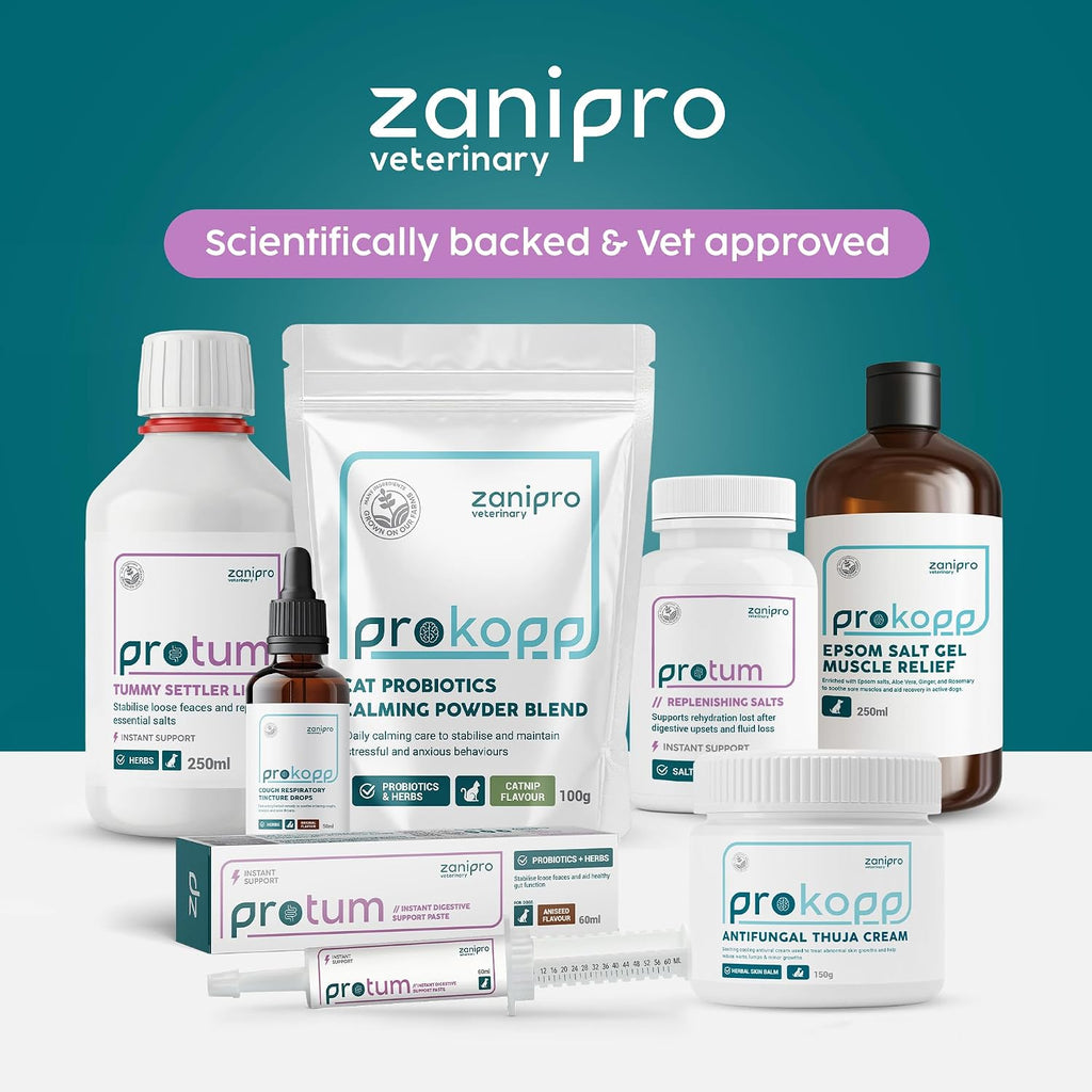 Protum Probiotic Paste para Perros - 30ml Fórmula Avanzada Prebiótica para el Soporte Digestivo - Sabor Atractivo para la Salud Intestinal Canina