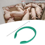 Kit de Inseminación Artificial Ajustable para Cerdos - Nachukan