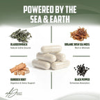 Alex Jones Ultimate Seamoss Capsules – Suplemento Vegano de Algas Marinas con Bladderwrack y Raíz de Bardana – Apoyo Inmunológico, Energía – 60 Cápsulas