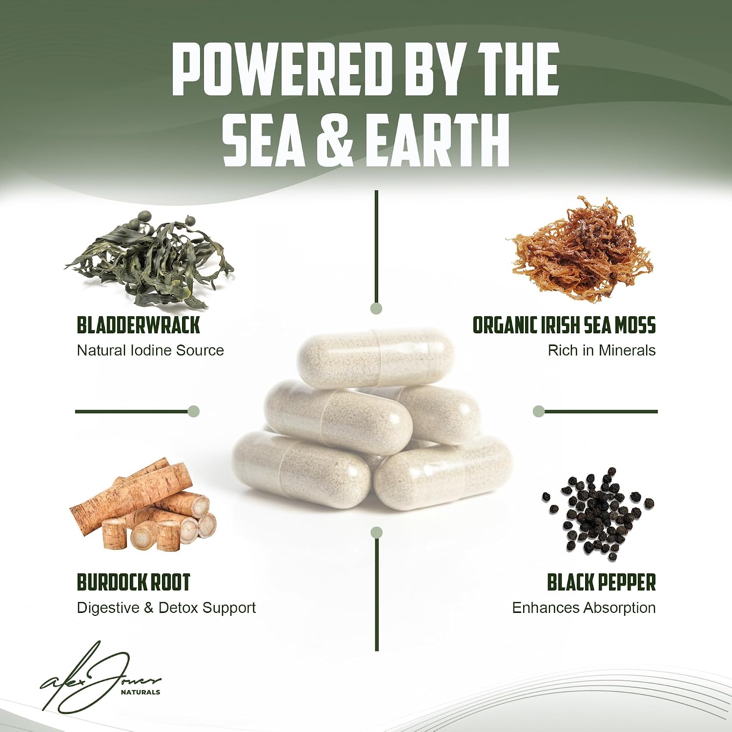 Alex Jones Ultimate Seamoss Capsules – Suplemento Vegano de Algas Marinas con Bladderwrack y Raíz de Bardana – Apoyo Inmunológico, Energía – 60 Cápsulas