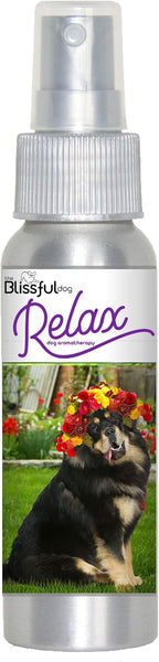 The Blissful Dog English Toy Spaniel Relax Roll-On Aromaterapia para Perros