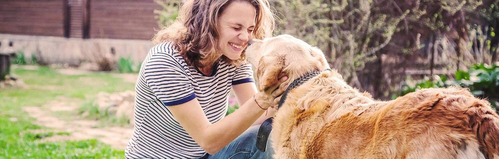 K9 Immunity Plus - Suplemento de Apoyo Inmunológico para Perros Mayores de 70 lb (Pack de 2, 90 Comprimidos Masticables)