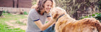 K9 Immunity Plus - Suplemento de Apoyo Inmunológico para Perros Mayores de 70 lb (Pack de 2, 90 Comprimidos Masticables)