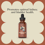 Complete Natural Products Concentrado Orgánico para Riñón y Vejiga para Mascotas - 118ml