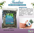 Insulina Hierba Gymnema Sylvestre 113g (4oz)