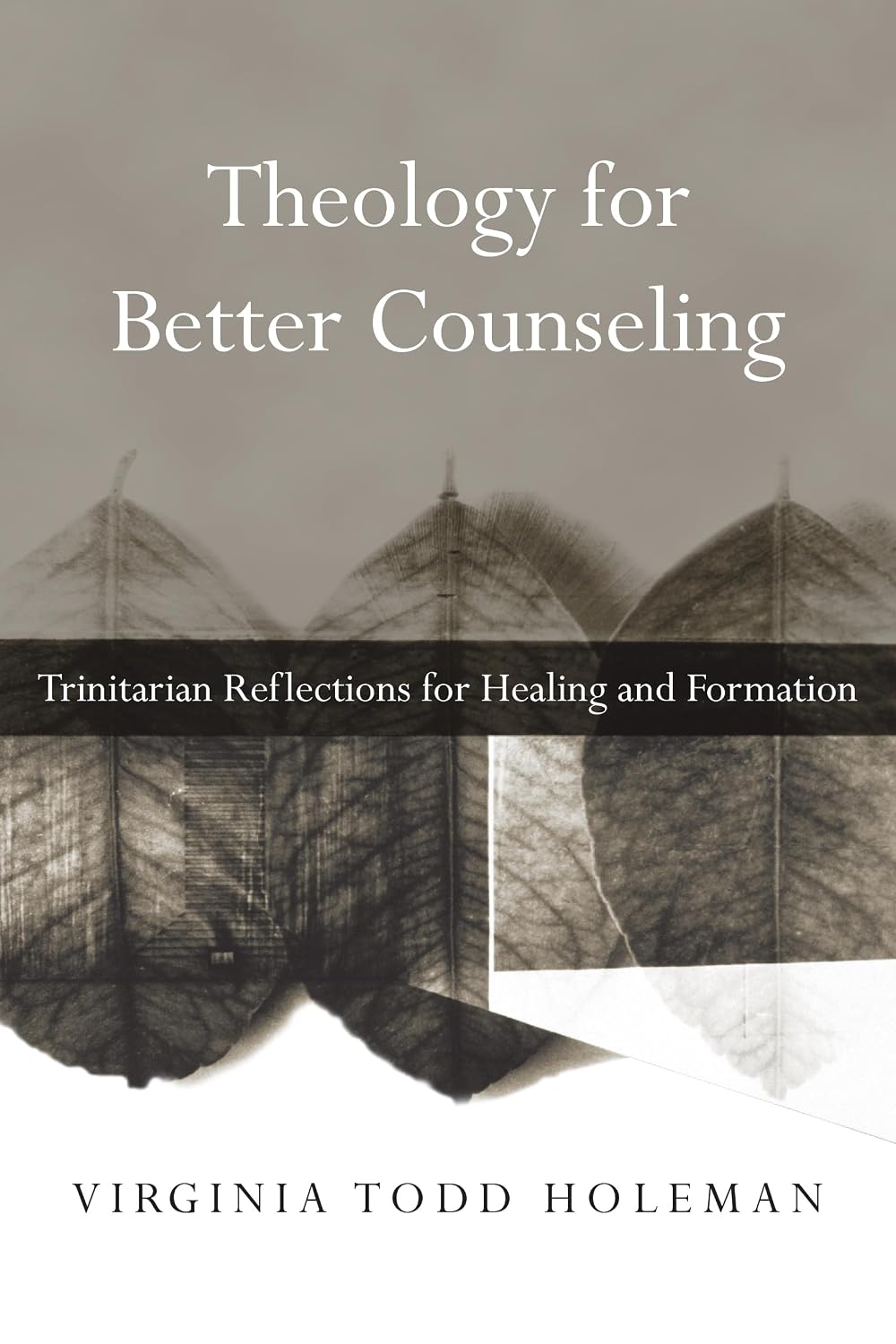 Teología para un mejor asesoramiento: reflexiones trinitarias para la curación y la formación (Libros de la Asociación Cristiana de Estudios Psicológicos)
