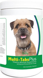 Healthy Breeds Multi-Tabs Plus Comprimidos Masticables para Perros Border Terrier (365 comprimidos)