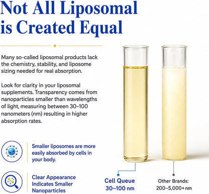 Cellqueue Vitamina C Liposomal Líquida 500 – La reducción del cansancio y la fatiga. – Image 5