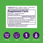 Paradise Herbs Rhodiola Extract 500mg, 60 Cápsulas Vegetales