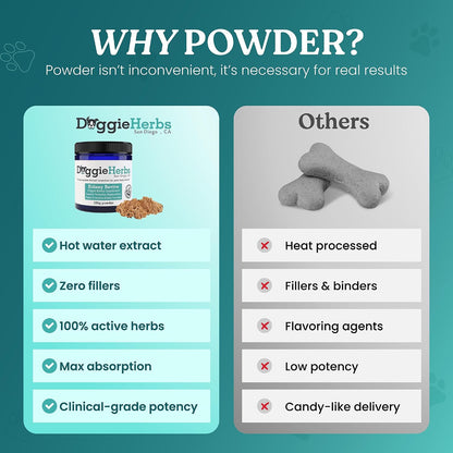 Doggie Herbs Apoyo Renal Orgánico para – Cordyceps (Cordyceps militaris): Hongo adaptógeno que apoya la salud – Image 5