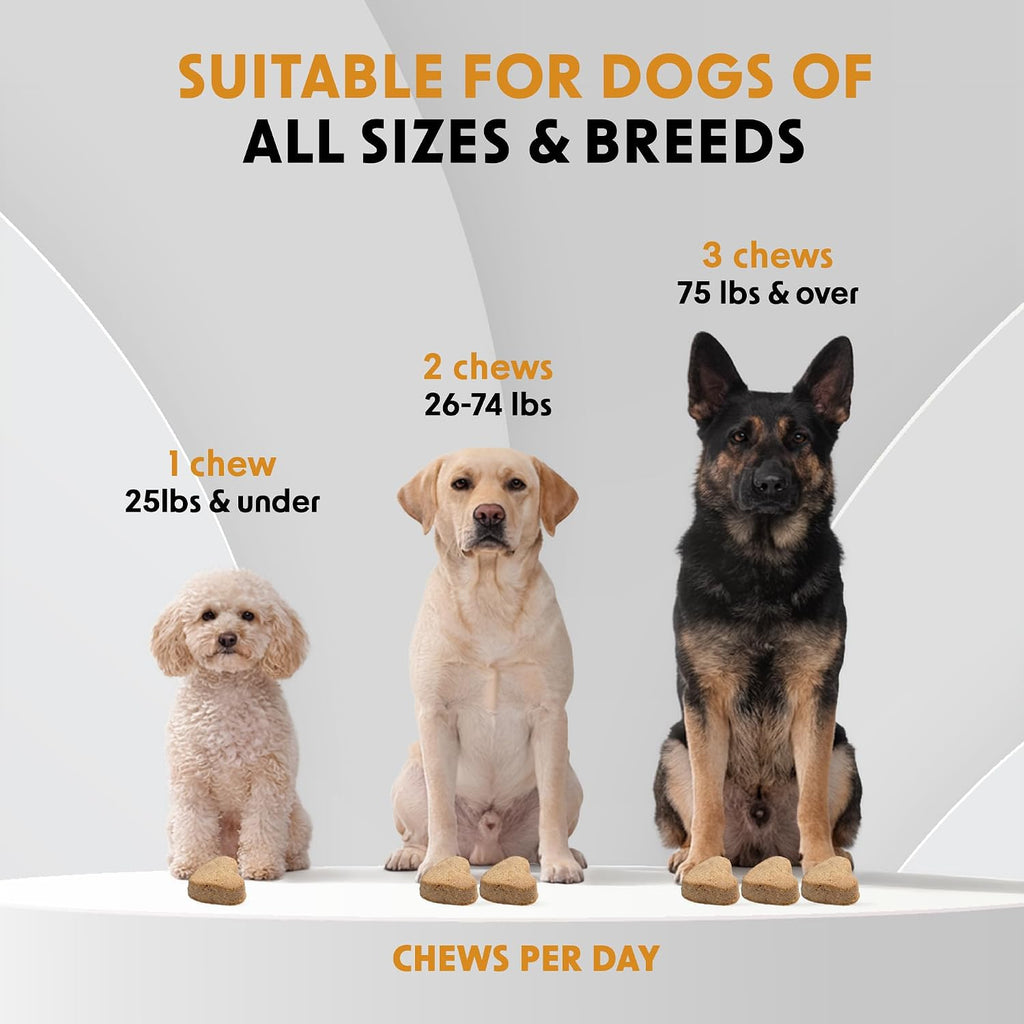DR WOOW Probióticos para Perros – Masticables Suaves con Enzimas Digestivas – Sabor Pato y Calabaza – 90 Unidades