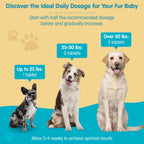 Wanderfound Pets 10-en-1 Multivitamínico para Perros con Glucosamina, D3 y MSM, Sabor Hígado, 60 Comprimidos