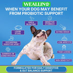 Probióticos para Perros WEALLIN - 200 Masticables para Salud Digestiva y Piel