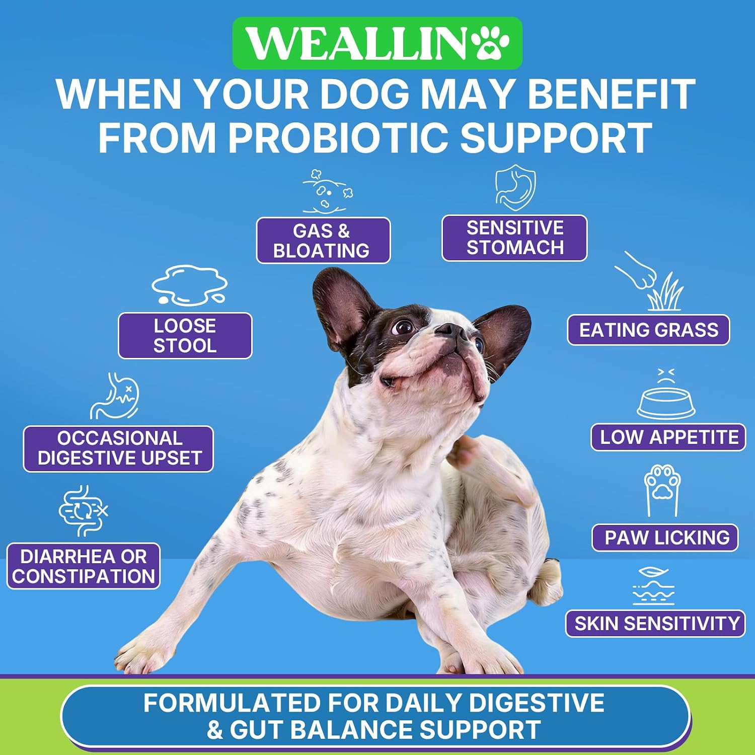 Probióticos para Perros WEALLIN - 200 Masticables para Salud Digestiva y Piel