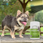 Dr. Orchard's Fertility Pro para Perros - Formulado por Veterinarios - 120 Comprimidos