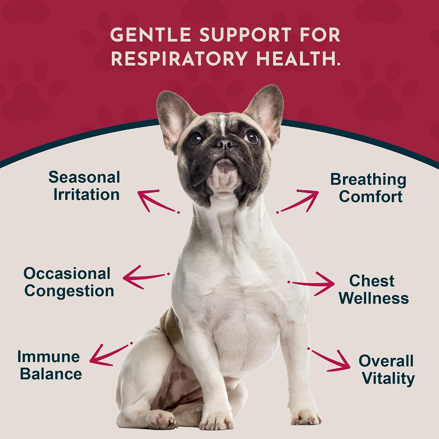 Breathe EZ - Suplemento Herbal para Perros y Gatos, 1 fl oz