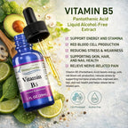 Liquid Vitamin B5 50 mg – Pantothenic Acid Dropper, Vegan, 30 ml