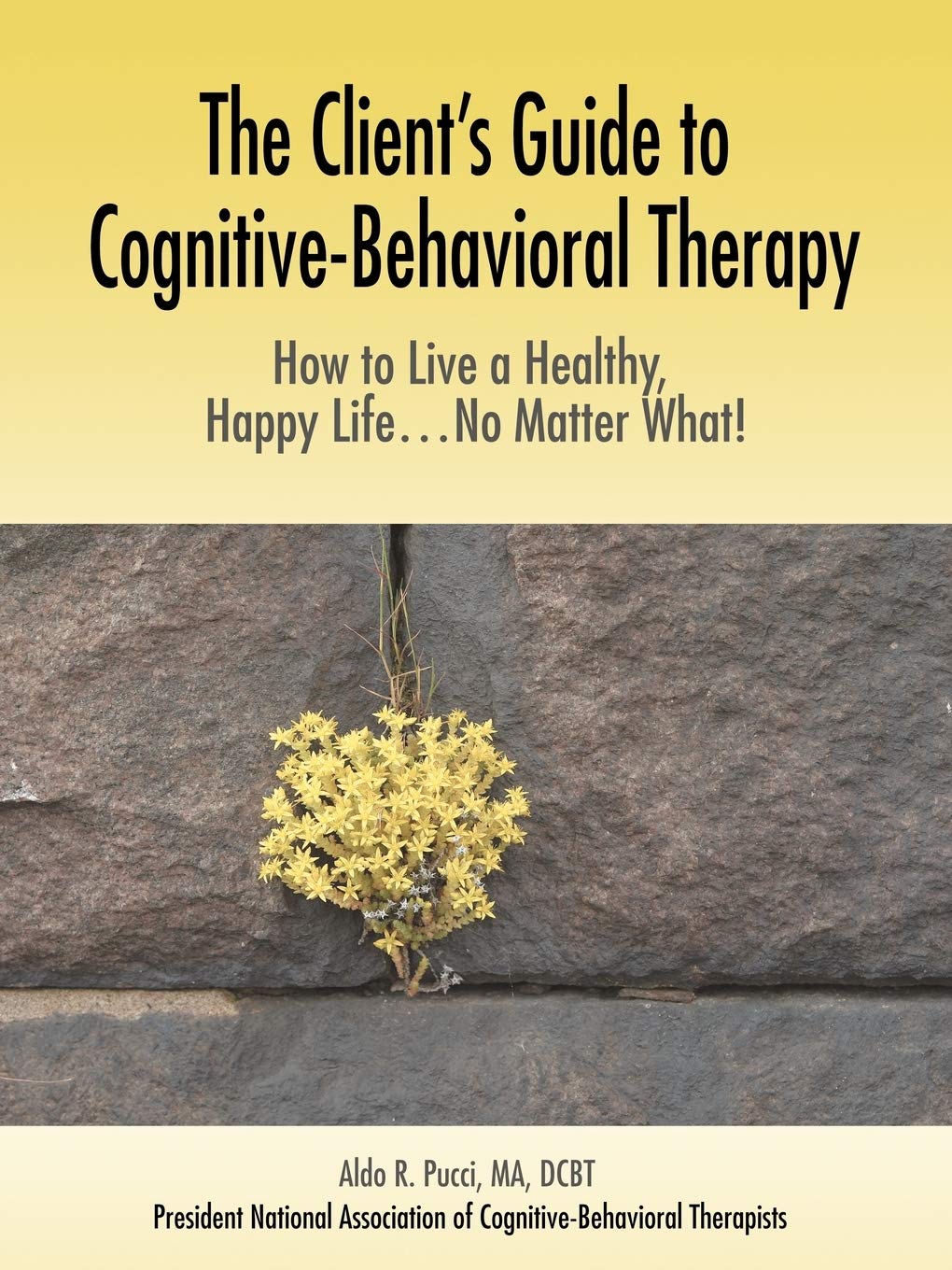 La guía del cliente para la terapia cognitivo-conductual: cómo vivir una vida sana y feliz... ¡pase lo que pase!