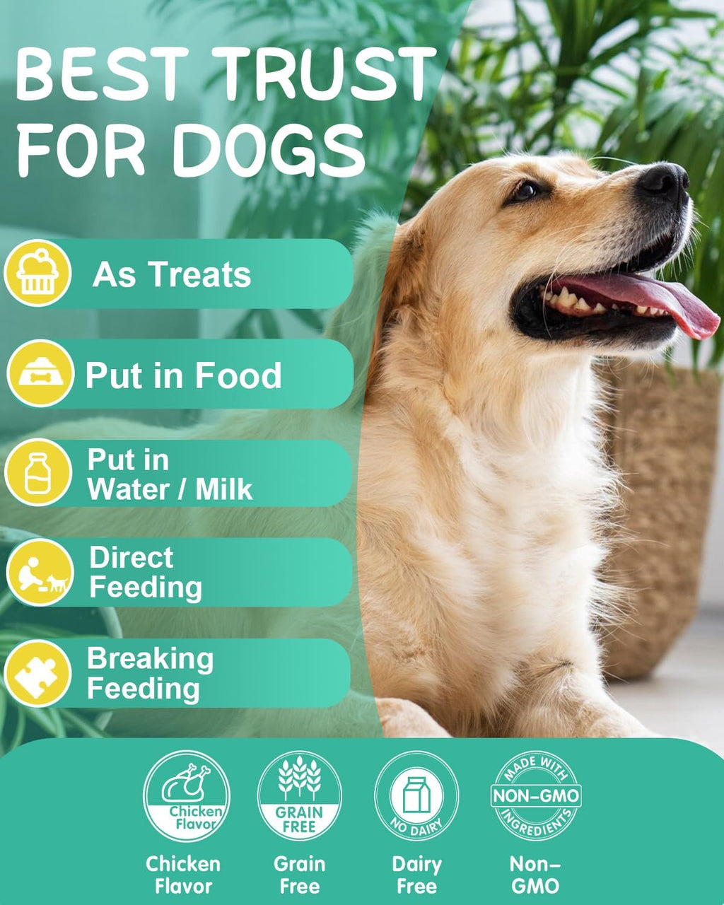 Omega 3 para Perros - 120 Chews de Aceite de Salmón con Vitaminas