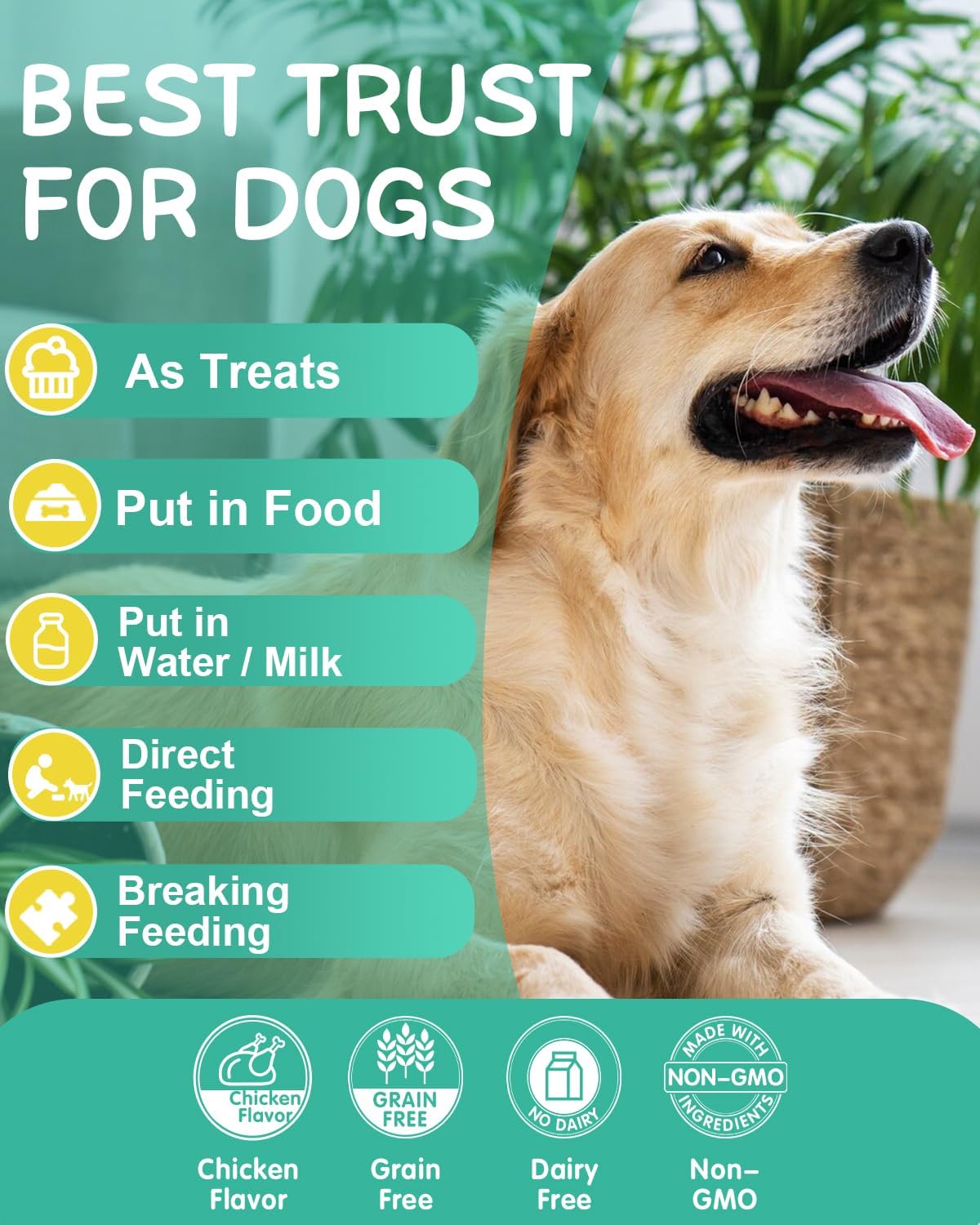 Omega 3 para Perros - 120 Chews de Aceite de Salmón con Vitaminas