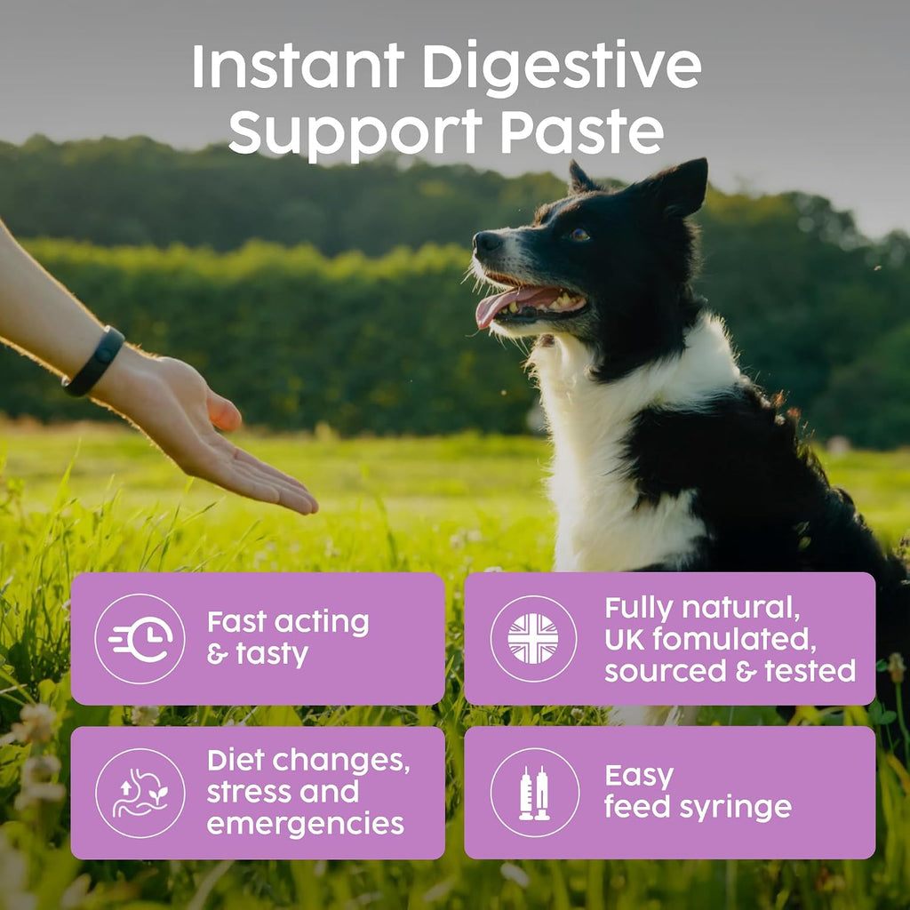 Protum Probiotic Paste para Perros - 30ml Fórmula Avanzada Prebiótica para el Soporte Digestivo - Sabor Atractivo para la Salud Intestinal Canina