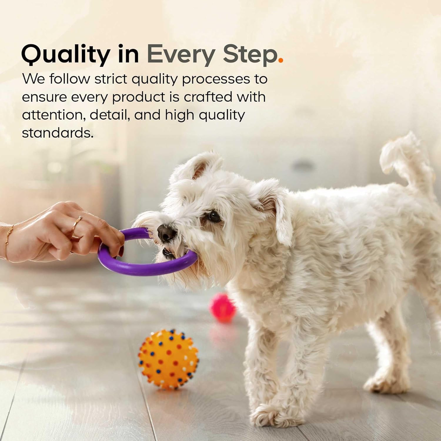Happy Immune Support Polvo de Hongos para Perros, 7 Hongos Orgánicos, 3.5 oz