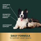 VetriScience Coenzyme Q10 for Dogs and Cats, 10mg, 100 Capsules - Cardiovascular & Gum Health Supplement