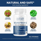 (3 Pack) Neuro Tech IQ Brain Supplement Neurotech Iq Focus Formula Pills (180 Capsules)
