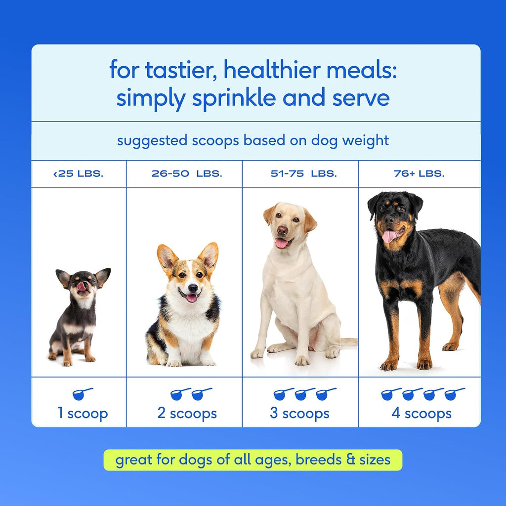 Native Pet The Daily Dog - Vitaminas y Suplementos Diarios para Perros - Multivitamínico en Polvo 11 en 1 - Apoya la Salud General, Digestión, Movilidad e Inmunidad con Colágeno, Glucosamina y Probióticos – 120 Dosis