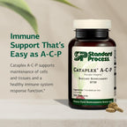 Standard Process Cataplex A-C-P – Complemento Alimenticio de Vitaminas A y C y Bioflavonoides – 360 Comprimidos