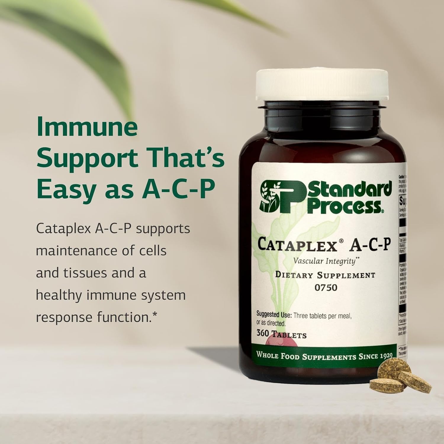 Standard Process Cataplex A-C-P – Complemento Alimenticio de Vitaminas A y C y Bioflavonoides – 360 Comprimidos