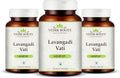Lavangadi Vati - Apoyo Natural para el Confort Nasal, Suplemento Respiratorio Ayurvédico, Ayuda para la Salud Digestiva, 360 Comprimidos (Paquete de 3)