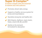 PURE SYNERGY Super B-Complex | Complejo de vitamina B elaborado con alimentos integrales ecológicos | Suplemento vegano con vitamina B12, niacina y folato naturales | para energía, concentración y estado de ánimo (60 comprimidos)
