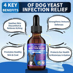 Tratamiento Natural contra Levaduras para Perros | Gotas con Probióticos y Mezcla de 8 Hierbas | Apoya Piel, Oídos y Alivio de Alergias | Sabor a Bacon