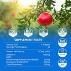 inGreens Urolithin A 1000mg con NAD+, CoQ10 y Resveratrol (5 Paquetes)