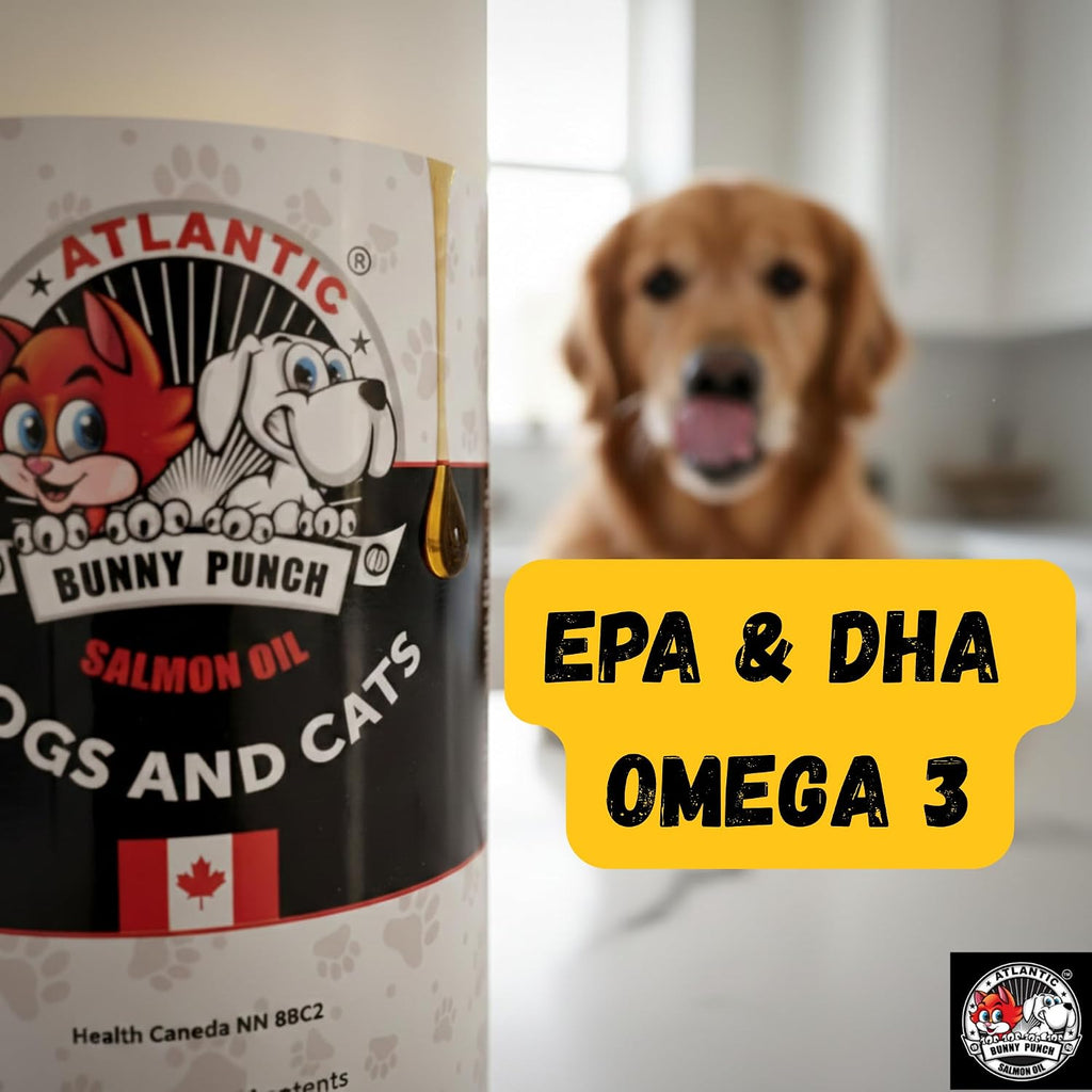 Bunny Punch Aceite Puro de Salmón Atlántico para Perros y Gatos - Complemento Líquido - 946 ml