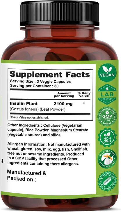 Naturfi Organic Cápsulas de Planta de Insulina (Costus Igneus), USDA Orgánico | Suplemento 100% Natural, 90 Cápsulas – Image 6