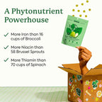 Plant People WonderGreens Gominolas de Super Greens con Probióticos - 60 uds
