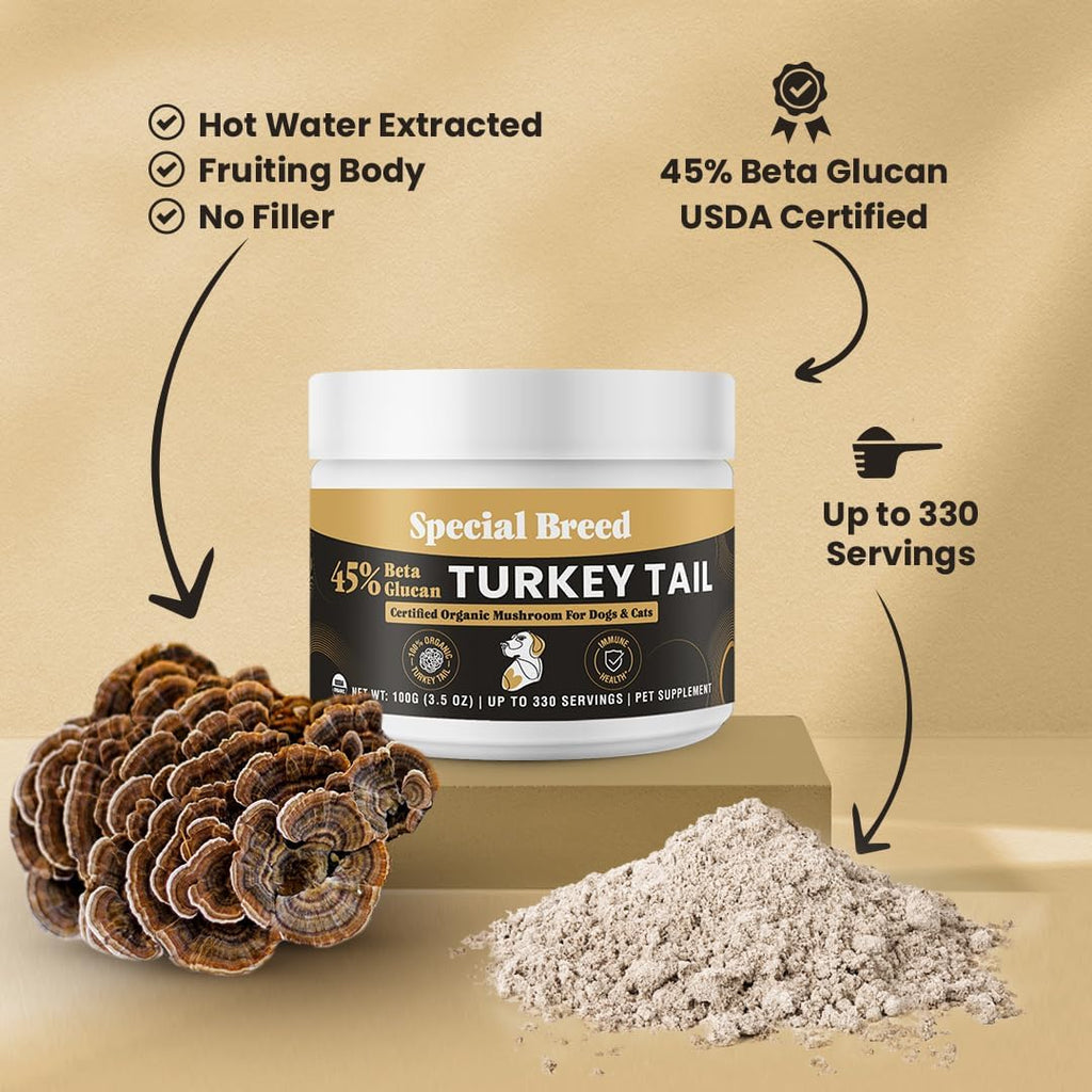 Cola de Pavo Orgánica para Perros y Gatos - Estandarizado al 45% de Beta Glucanos - Cuerpo Frutal Completo Extraído en Agua Caliente - Probado por Terceros - Apoyo Inmunológico y Digestivo - Sin Rellenos - Hecho en EE.UU. - 330 cápsulas