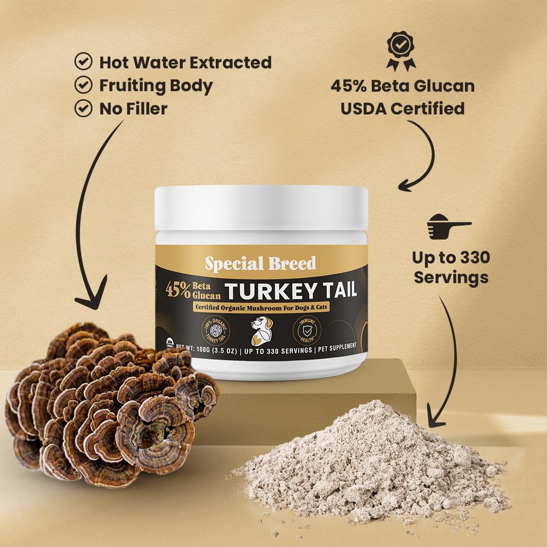 Cola de Pavo Orgánica para Perros y Gatos - Estandarizado al 45% de Beta Glucanos - Cuerpo Frutal Completo Extraído en Agua Caliente - Probado por Terceros - Apoyo Inmunológico y Digestivo - Sin Rellenos - Hecho en EE.UU. - 330 cápsulas