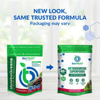 BioTrust Metabo Greens Superfood Powder - Mezcla de Super Greens con Frutas y Verduras, Sabor Berry Energizante (30 Porciones)