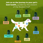 Rooted Owl® Cúrcuma para Perros y Gatos - Suplemento con Curcumina, Piperina y Vitamina C - 60 Cápsulas