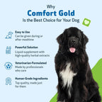 Pet Wellbeing Comfort Gold para Perros - Suplemento Herbal Veterinario 118 ml