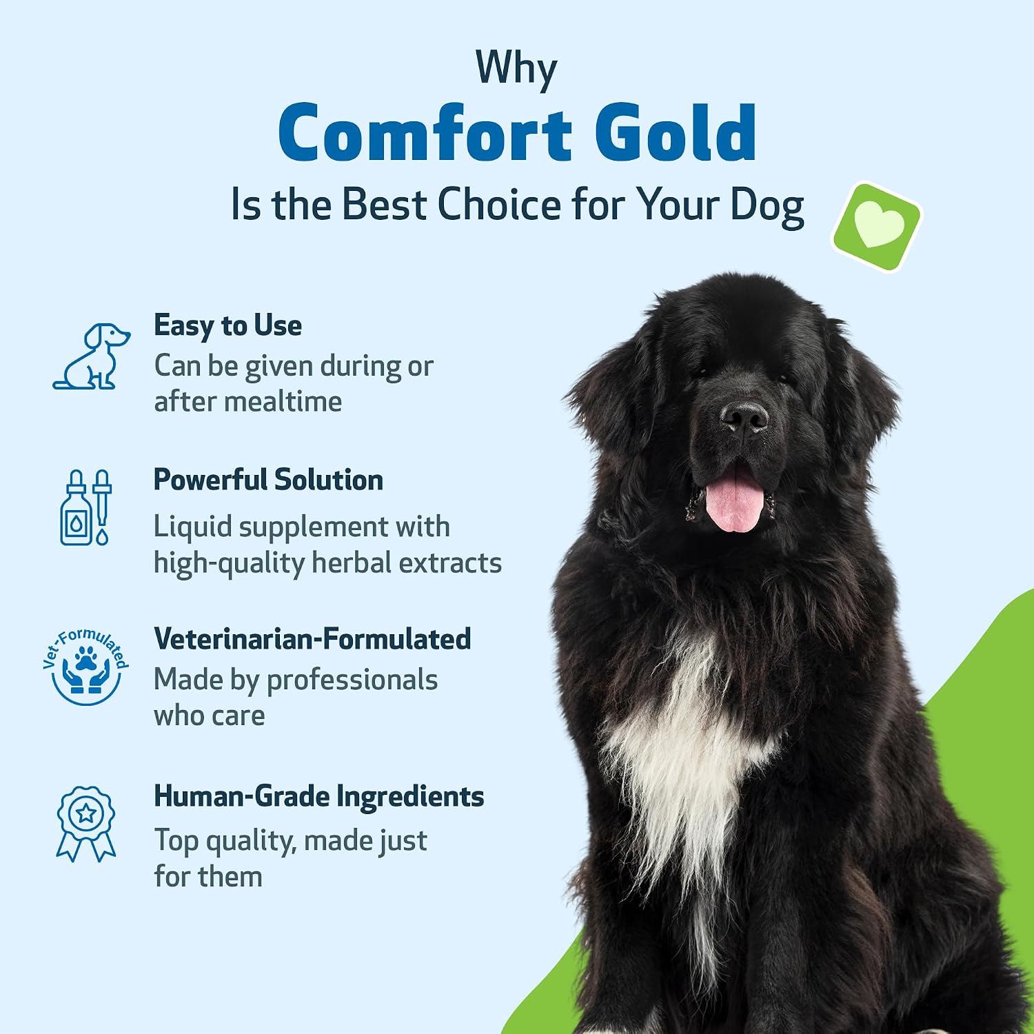 Pet Wellbeing Comfort Gold para Perros - Suplemento Herbal Veterinario 118 ml