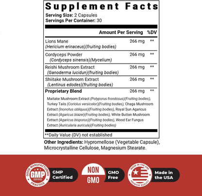 Dr. Love ROAR Lion's Mane, Cordyceps y – Reishi (Ganoderma lucidum): Considerado un adaptógeno que ayuda al cuerpo – Image 3